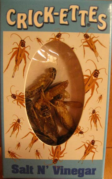 Illustration for article titled Taste Test: "Crick-ettes" flavored crickets